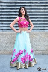 Nikki Galrani at Krishnashtami Movie Platinum Disc Function